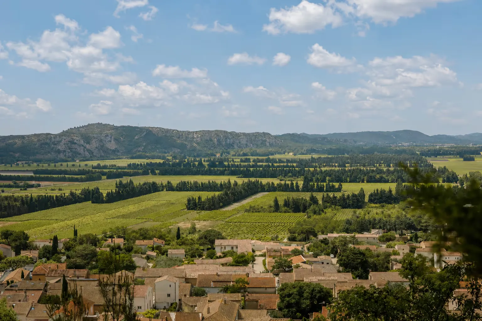 Vue sur les vignobles provençaux depuis Manon en Provence